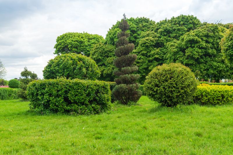 Shrub Pruning in Rockwall, TX