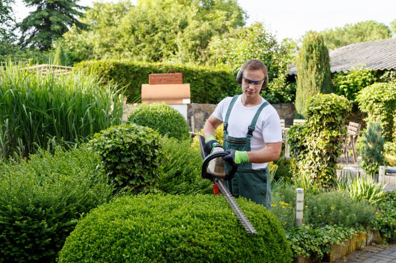 Lilac Bush Trimming