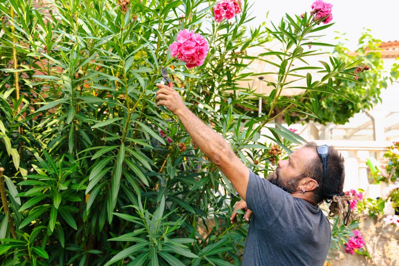 Lilac Bush Trimming